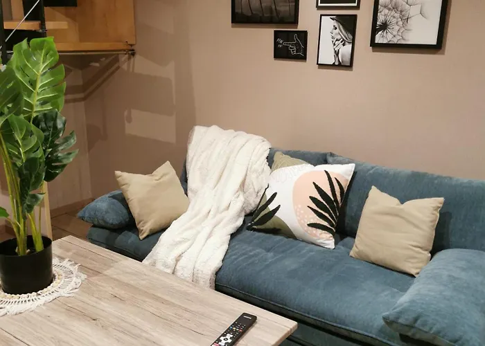 Maisonnetteau36-centre-parking-cosy *